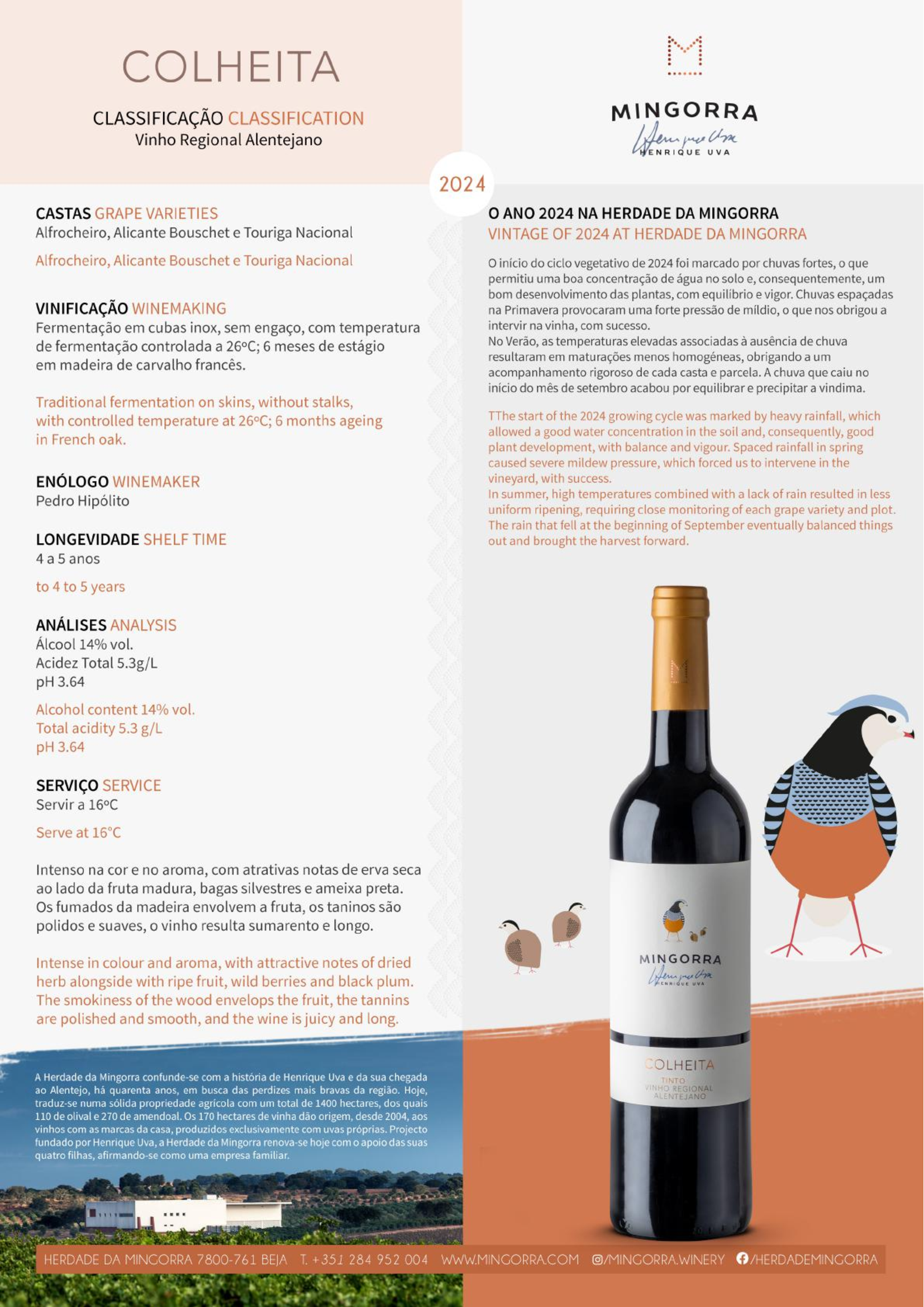 Mingorra Colheita Tinto - Image 2