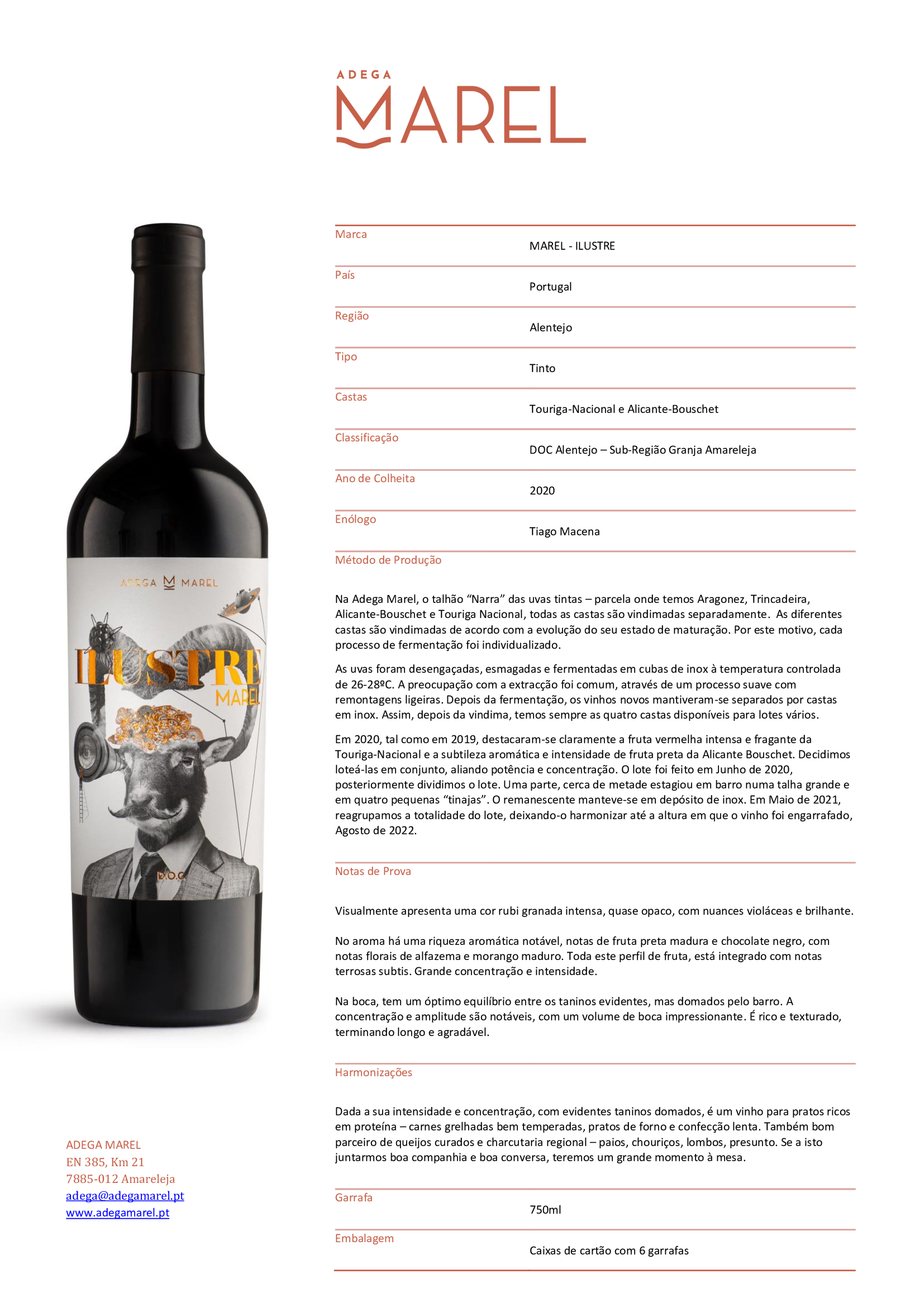 Ilustre Marel Tinto - Image 2