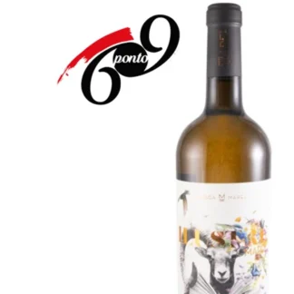 Ilustre Marel Branco