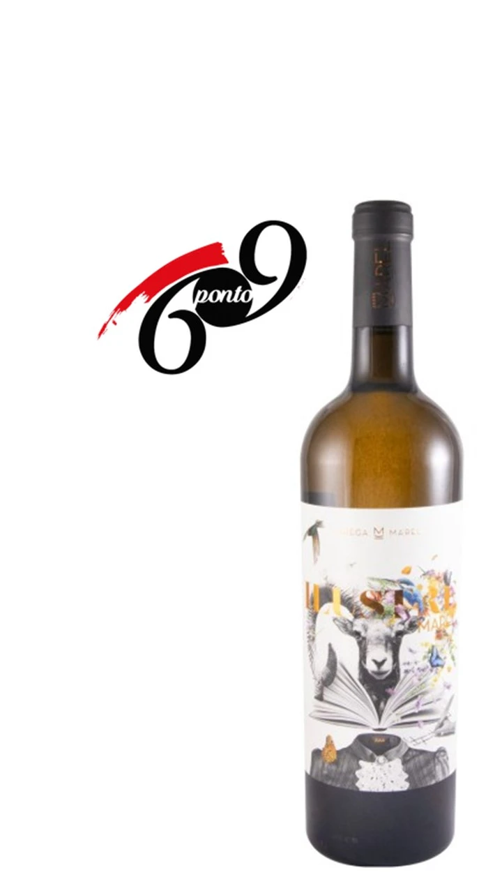 Ilustre Marel Branco