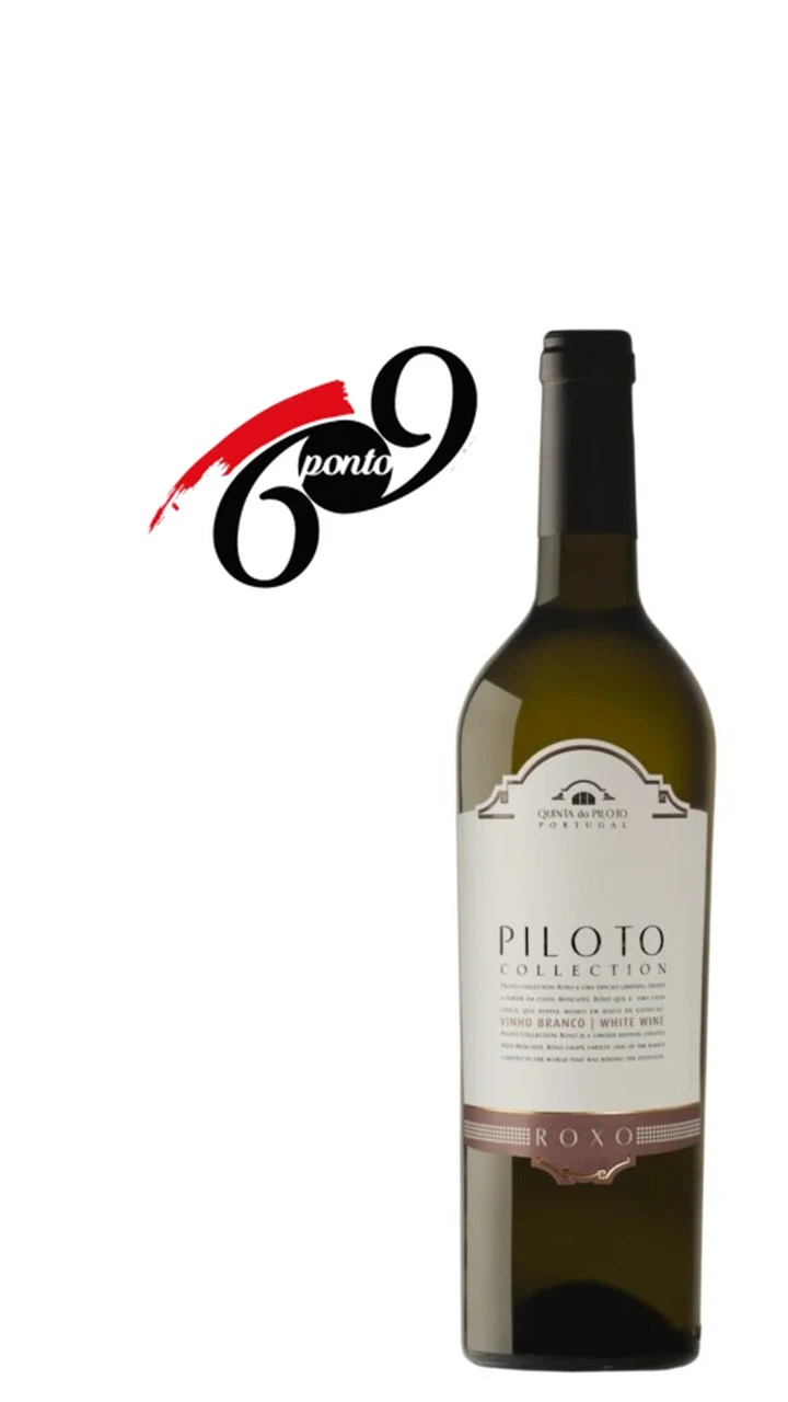 Piloto Collection Roxo