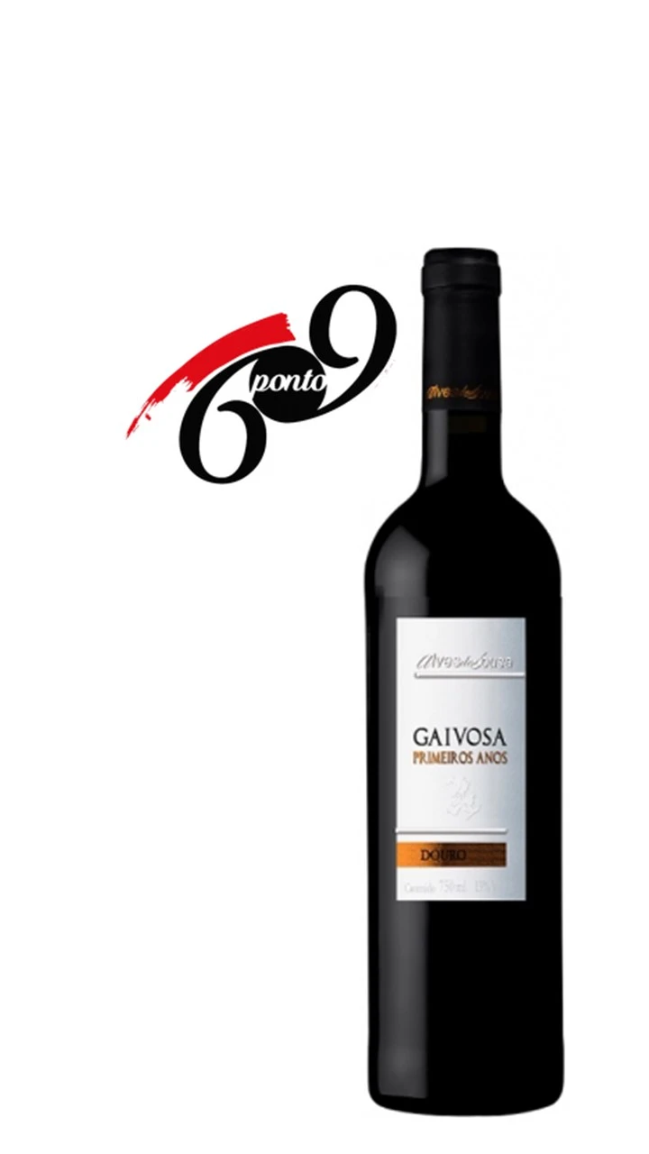 Gaivosa Primeiros Anos